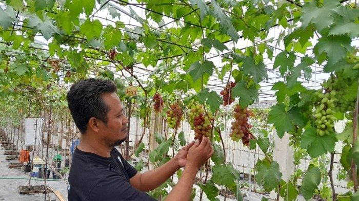 Pengadaan Barang Jasa 2026: Rahasia PBJ yang Dijemput ke OPD